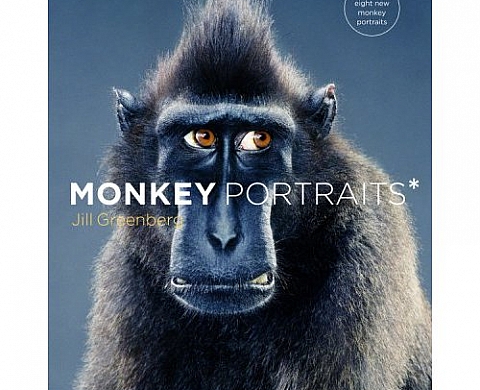 Monkey Portraits - Jill Greenberg Monkey Portraits - Jill Greenberg