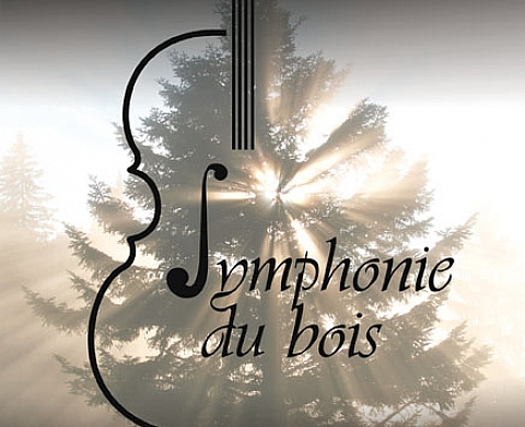 Bois enchanteurs - Debarnot Jean-François