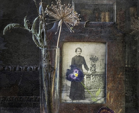 Natures mortes - Arina Kouznetsova Natures mortes - Arina Kouznetsova