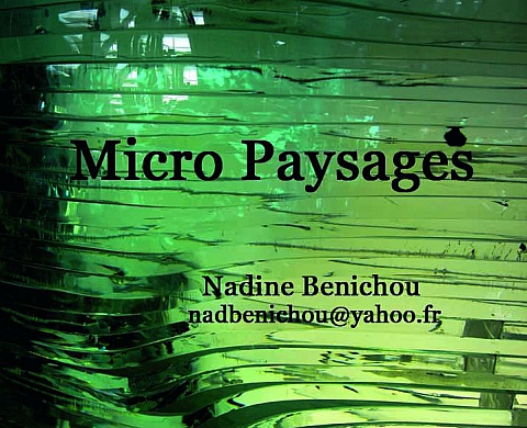 Micro Paysages - Nadine BENICHOU Micro Paysages - Nadine BENICHOU