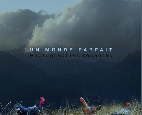 Un monde parfait - Sylvie Buyssens