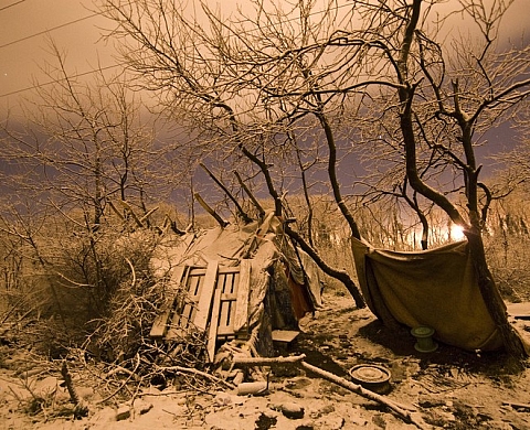 Jungles - Jean Revillard