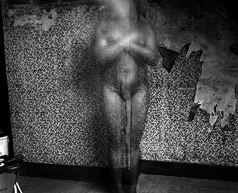 Entre le papier peint et le mur - Hélène Amouzou