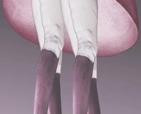 Pat Brassington Australia photographer