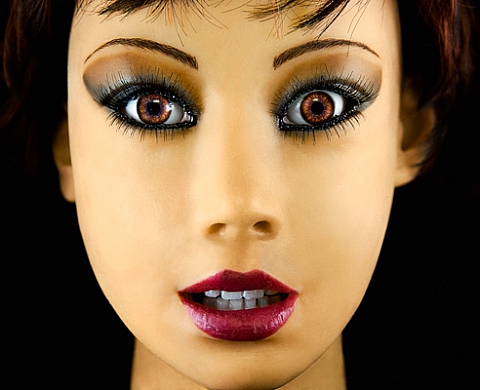 Still Life  - Jean - François Bouchard