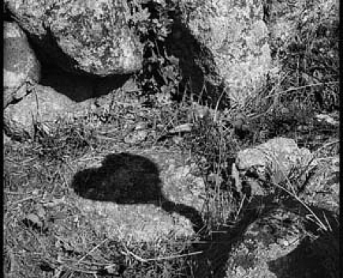 Natures Mortes et Vanités - Bernard DROUILLET Natures Mortes et Vanités - Bernard DROUILLET