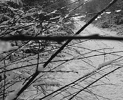 NEIGE ,Jourdan Laura