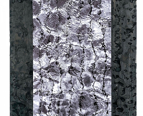 Instants! Le temps de la photographie, le temps de la peinture - Emmélie Adilon