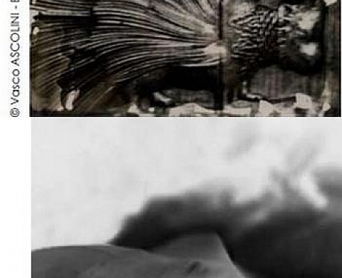 En toute complicité, deux photographes complémentaires - Vasco Ascolini et Luca Gilli En toute complicité, deux photographes complémentaires - Vasco Ascolini et Luca Gilli