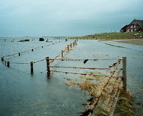 Avec les réfugiés climatiques