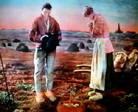 Qualunque Light - Peter Coffin