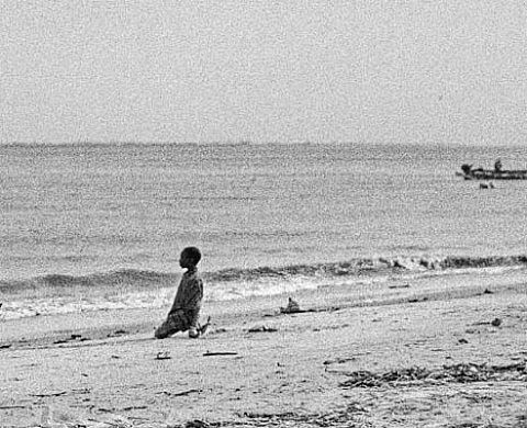 Entre les lignes. Que deviens-tu, Casamance? - Manuel Gérardin