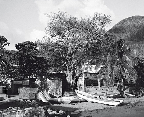 Sous le vent - Sylvain Demange