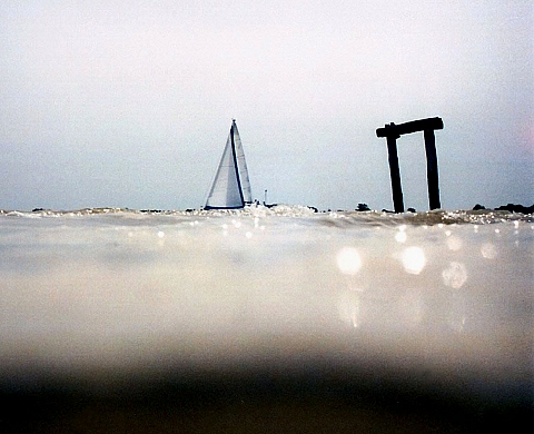 Terraquae - Daniel Nouraud