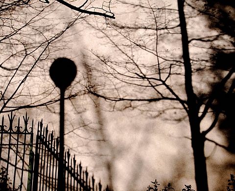 Tout est calme - Frank Loriou