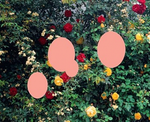 Portrait de familles - Emmanuelle Murbach, Alex Ten Napel & Diane Ducruet