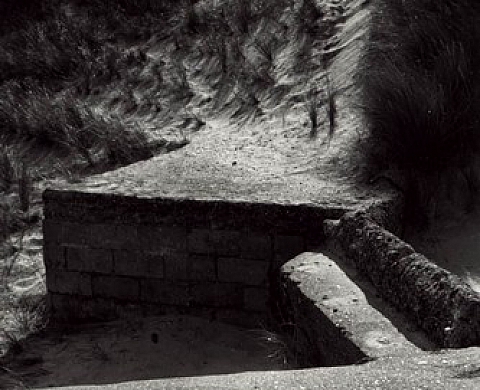 Photographie - Alberto Fleury