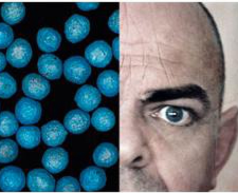 Mad in France, exposition et installation du collectif Tendance Floue