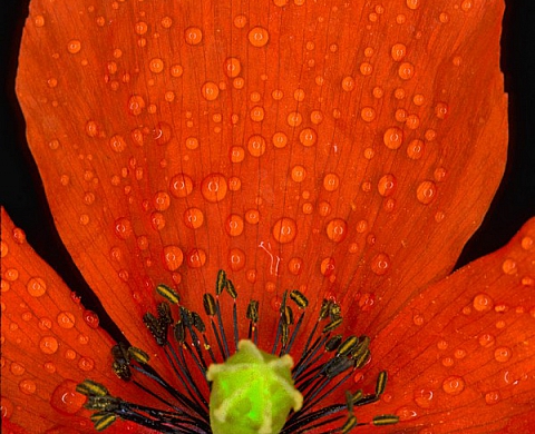 L'Eau de là - A l'Espace Saint-Jean