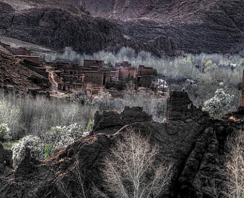 Emblématique Maroc Didier Streiff