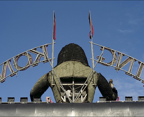 Photographier, comme un oiseau décrit une courbe - Arièle Bonzon