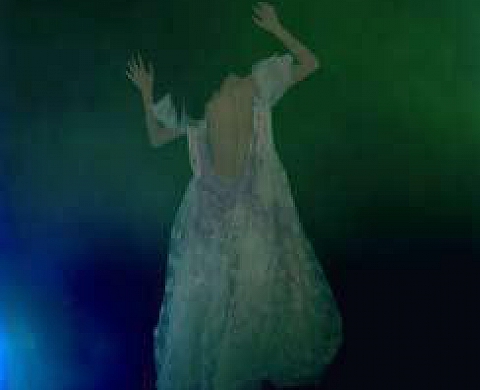 L'Album de Famille - Delphine Balley