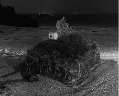 Rétrospective de printemps - François Delebecque