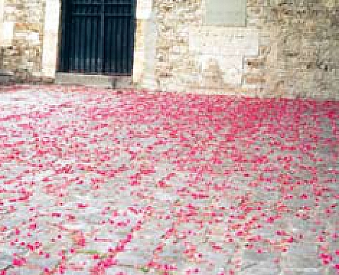  « (auto)biographies » de la photographe contemporaine Savine Dosda