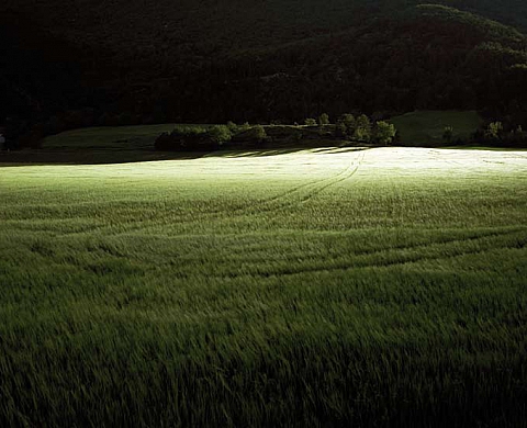 « Chemin faisant » Bertrand Desprez « Chemin faisant » Bertrand Desprez