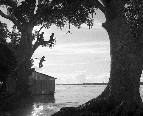 Patrick Bard expose Amazone: de Belém à Bélen, un monde en suspens 