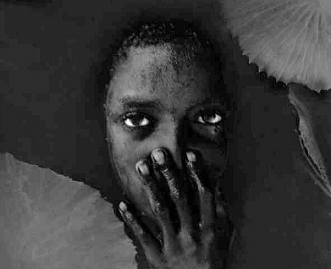 William Ropp, Mémoires rêvées d'Afrique