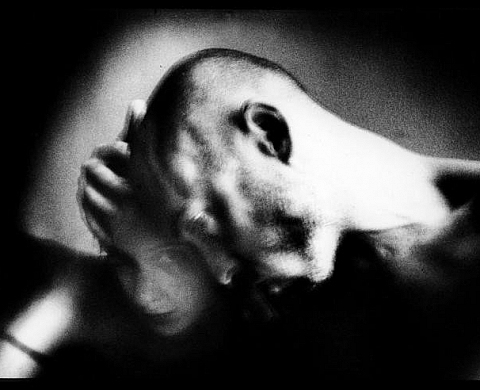 Half-Life de Michael Ackerman