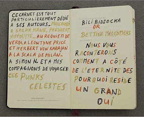 Fictions #3, une exposition de Bill Bidjocka