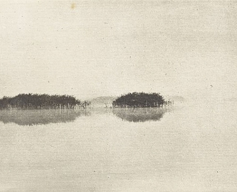 Photography Not Art, Le naturalisme selon P.H. Emerson (1886-1895)