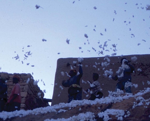 Afrique, Retours d'Images : 7ème Biennale d'art contemporain de Gonesse