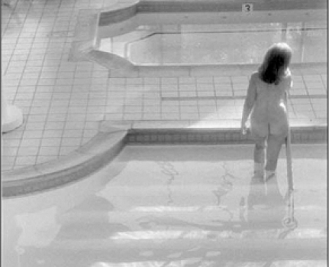 Elliott Landy, Love at Sixty