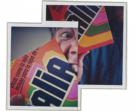 Anna & Bernhard Blume SX-70 / Polaroïds 1975 - 2000 Anna & Bernhard Blume SX-70 / Polaroïds 1975 - 2000