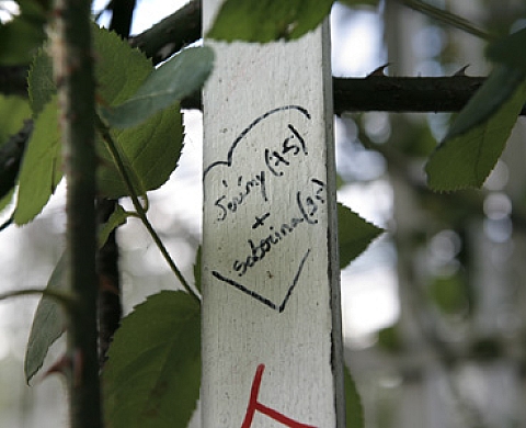 Pour que tu ne m'oublies pas, Josée Pedneault