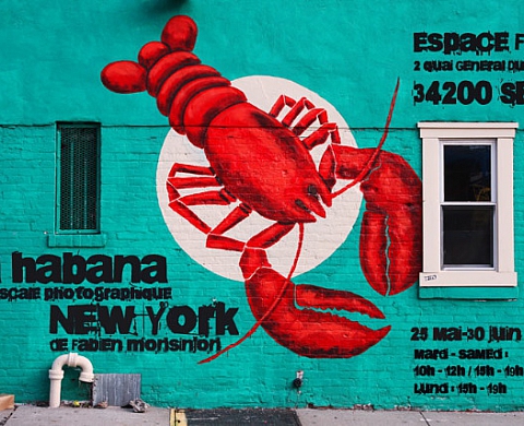 La Habana New-York, Fabien Monsinjon