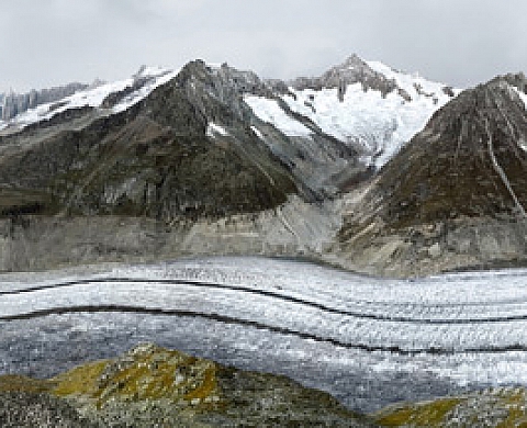 new landscapes MICHAEL REISCH 