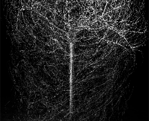 Les constructions invisibles, de Bertrand Flachot Les constructions invisibles, de Bertrand Flachot
