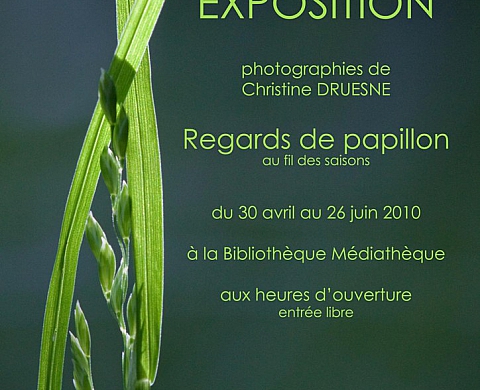 Regards de papillon, Christine Druesne