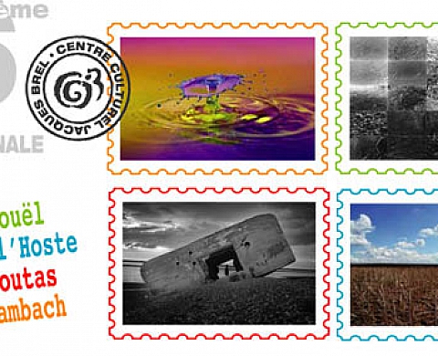 16ième Biennale Internationale de l'Image : Décentralisation - Véronique L'Hoste