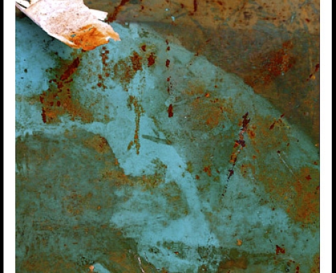 IMPRESSIONS PHOTOGRAPHIQUES   LECHACZYNSKI NICOLE