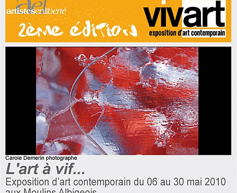 Viv'art 2010 - Carole Demerin