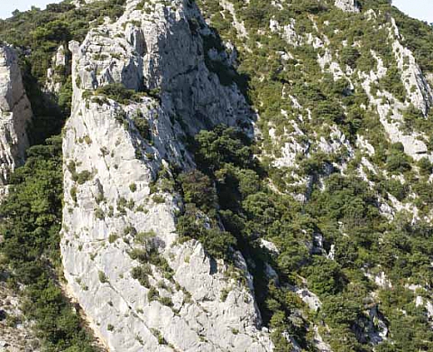   Ventoux Comtat Venaissin, Journal d'un paysage par Alain Ceccaroli 