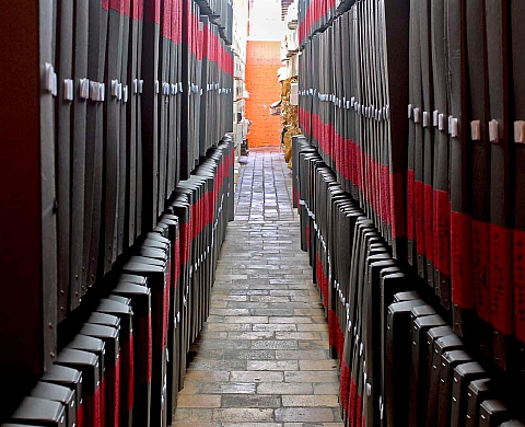 Rotondifolia, Bernadette Genée et Alain Le Borgne