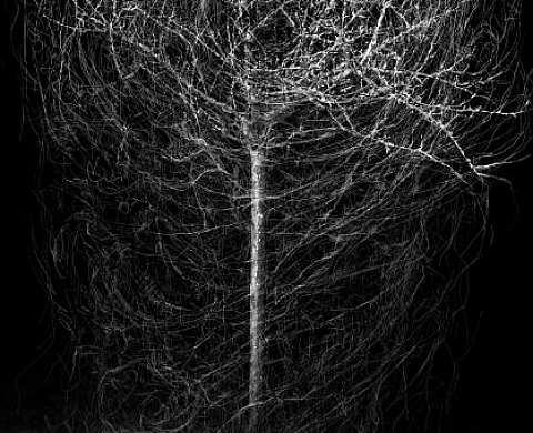 Les constructions invisibles de Bertrand Flachot Les constructions invisibles de Bertrand Flachot