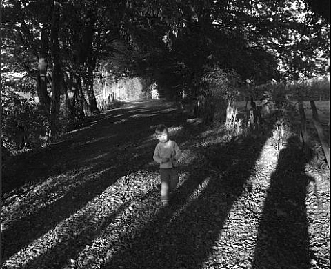 Ch...et autres moments silencieux.  Jean-Pierre Ruelle