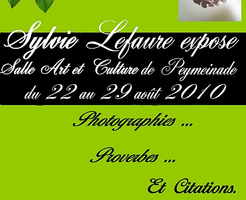 Photographies, proverbes et citations - Sylvie Lefaure
